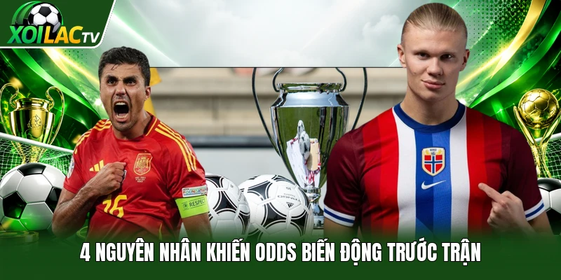 4 nguyên nhân khiến odds biến động trước trận