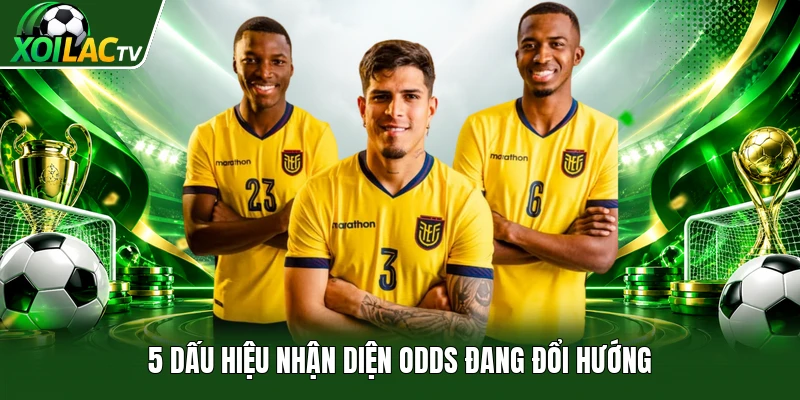 5 dấu hiệu nhận diện odds đang đổi hướng