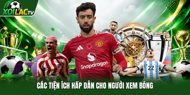 Các tiện ích hấp dẫn cho người xem bóng