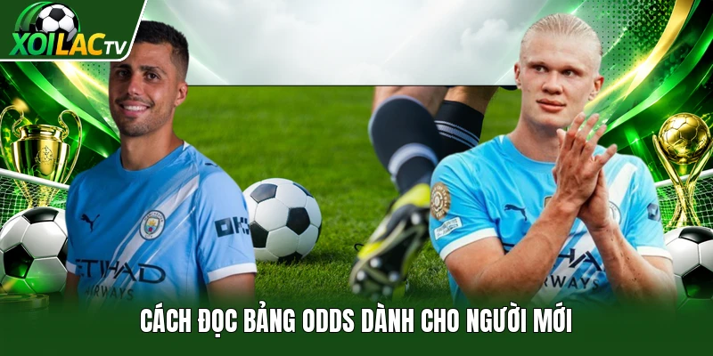 Cách đọc bảng odds dành cho người mới