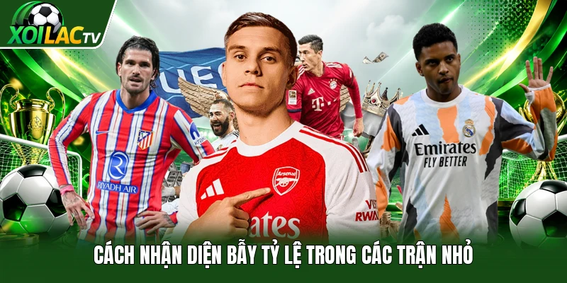 Cách nhận diện bẫy tỷ lệ trong các trận nhỏ