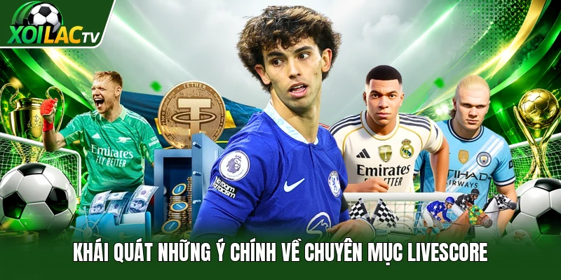 Khái quát những ý chính về chuyên mục Livescore