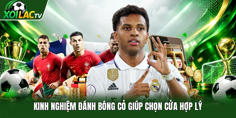Kinh nghiệm đánh bóng cỏ giúp chọn cửa hợp lý
