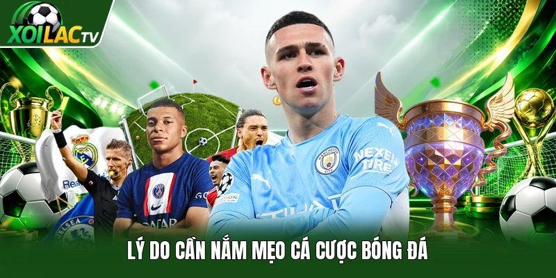 Lý do cần nắm mẹo cá cược bóng đá