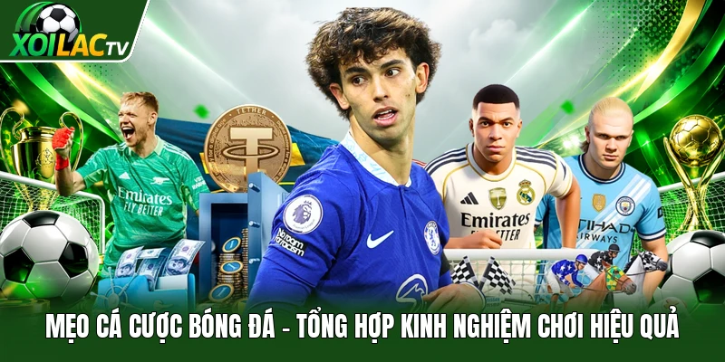 Mẹo Cá Cược Bóng Đá | Tổng Hợp Kinh Nghiệm Chơi Hiệu Quả
