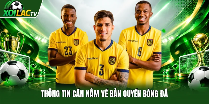 Thông tin cần nắm về bản quyền bóng đá