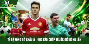Tỷ Lệ Bóng Đá Châu Á | Đọc Kèo Chấp Trước Giờ Bóng Lăn