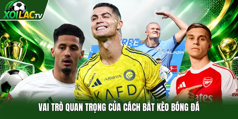 Vai trò quan trọng của cách bắt kèo bóng đá